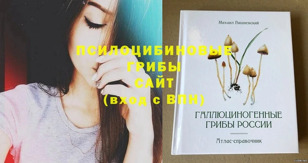 MDMA Алексеевка