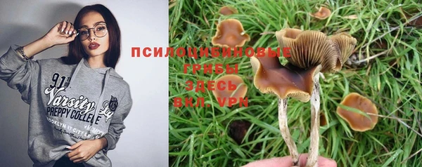 прущие грибы Алзамай