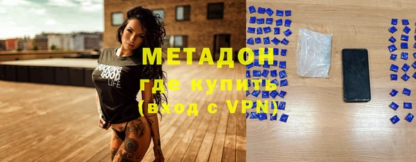 прущие грибы Алзамай