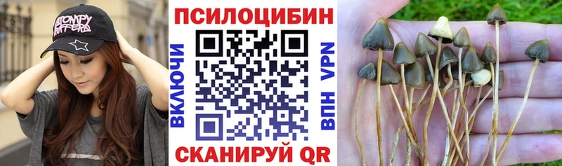 Псилоцибиновые грибы прущие грибы Саров