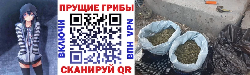 Галлюциногенные грибы Magic Shrooms  наркотики  Саров 